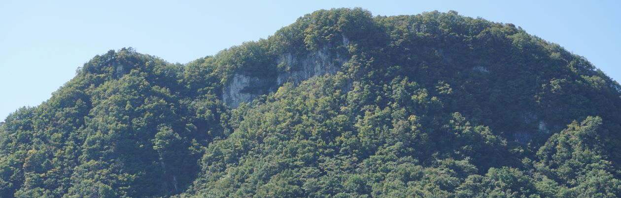 食堂から見える風景です